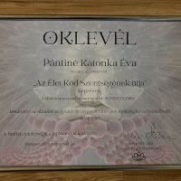 Lélekidő - Örömteli Jövő Katonka Éva Életkód Mentor Access Bars-Metamorf Kezelő