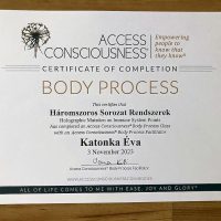 Lélekidő - Örömteli Jövő Katonka Éva Életkód Mentor Access Bars-Metamorf Kezelő