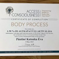 Lélekidő - Örömteli Jövő Katonka Éva Életkód Mentor Access Bars-Metamorf Kezelő