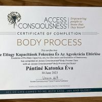 Lélekidő - Örömteli Jövő Katonka Éva Életkód Mentor Access Bars-Metamorf Kezelő