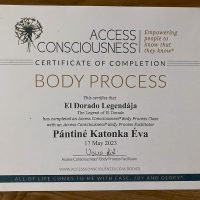Lélekidő - Örömteli Jövő Katonka Éva Életkód Mentor Access Bars-Metamorf Kezelő