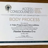 Lélekidő - Örömteli Jövő Katonka Éva Életkód Mentor Access Bars-Metamorf Kezelő