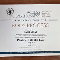 Lélekidő - Örömteli Jövő Katonka Éva Életkód Mentor Access Bars-Metamorf Kezelő