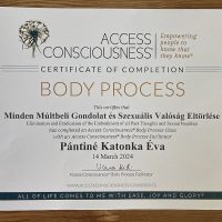 Lélekidő - Örömteli Jövő Katonka Éva Életkód Mentor Access Bars-Metamorf Kezelő
